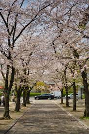 Hokkaido hotels