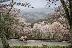 Nara hotels